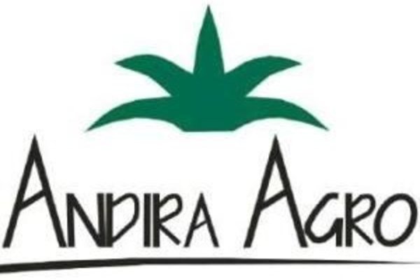 saham cpo terbaik adira agro